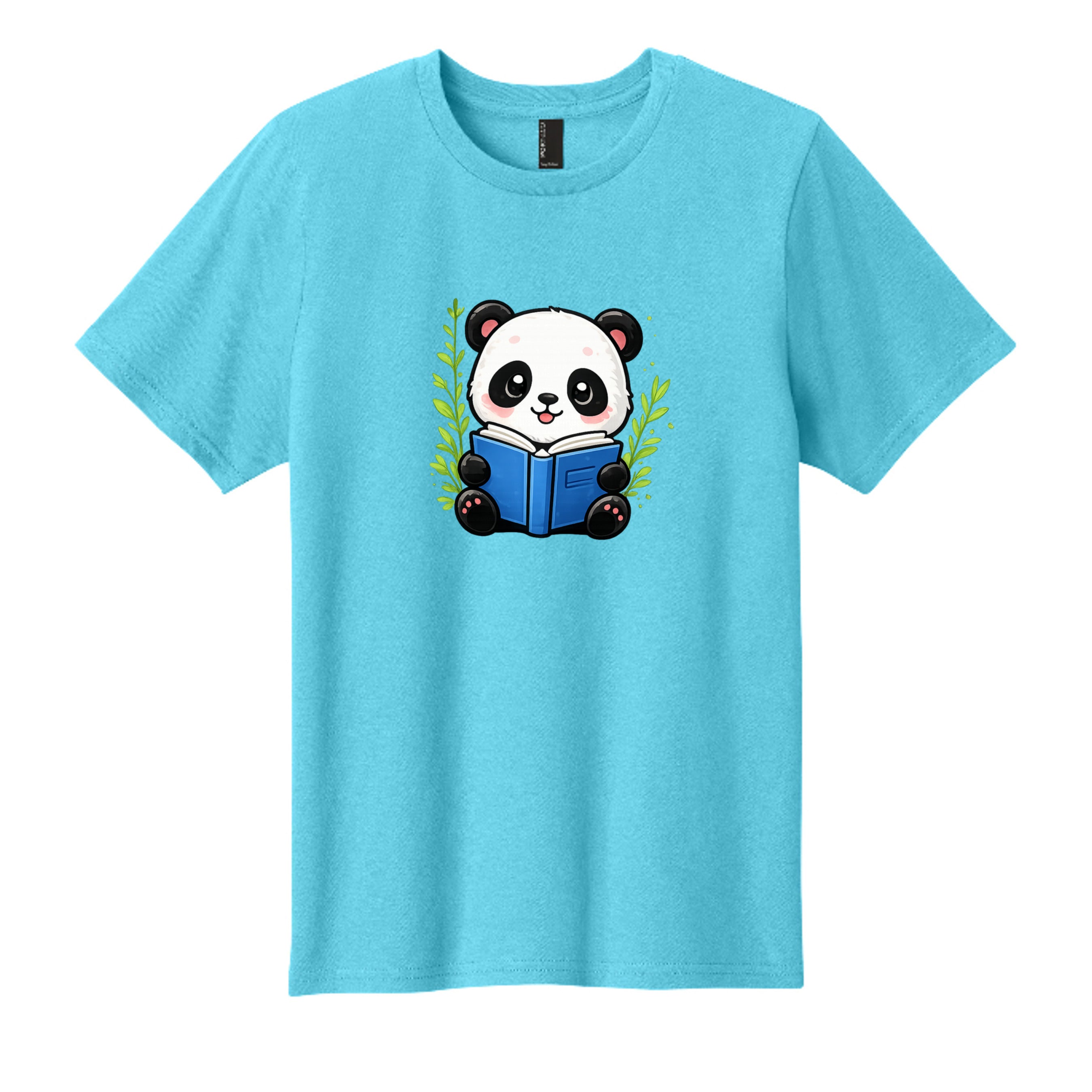 Aquatic Blue - PC43Y - FRONT